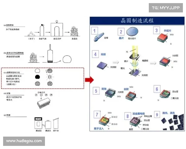 网球比赛全流程详解从热身到决胜局精彩瞬间解析