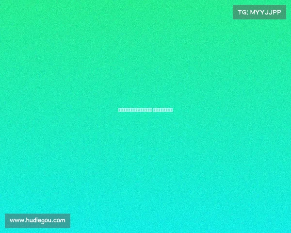 西汉姆联有意引进法比奥维埃拉 目前暂无正式报价