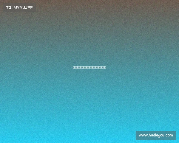 过去一个赛季出战次数最多的劳模阵容盘点与分析