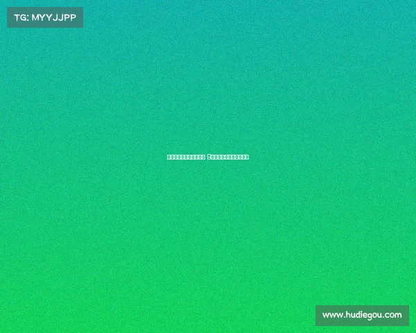 阿莫林：我喜欢看着球迷 B费不会连续两轮罚丢进球